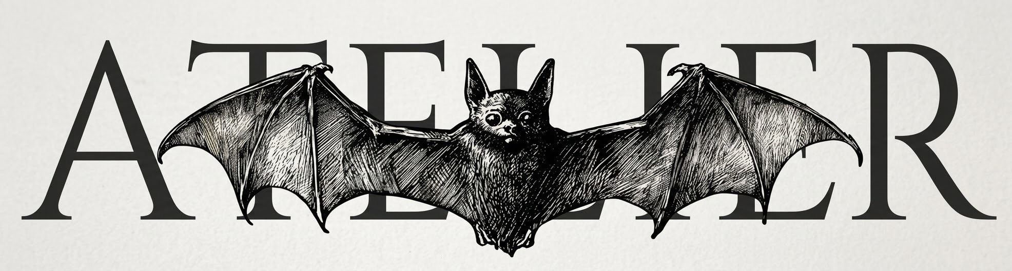 Promotional Banner